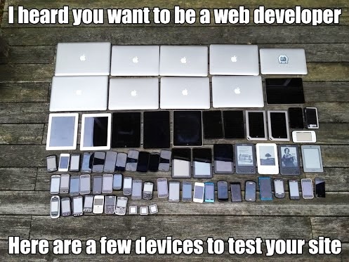 You want to be a web developer?